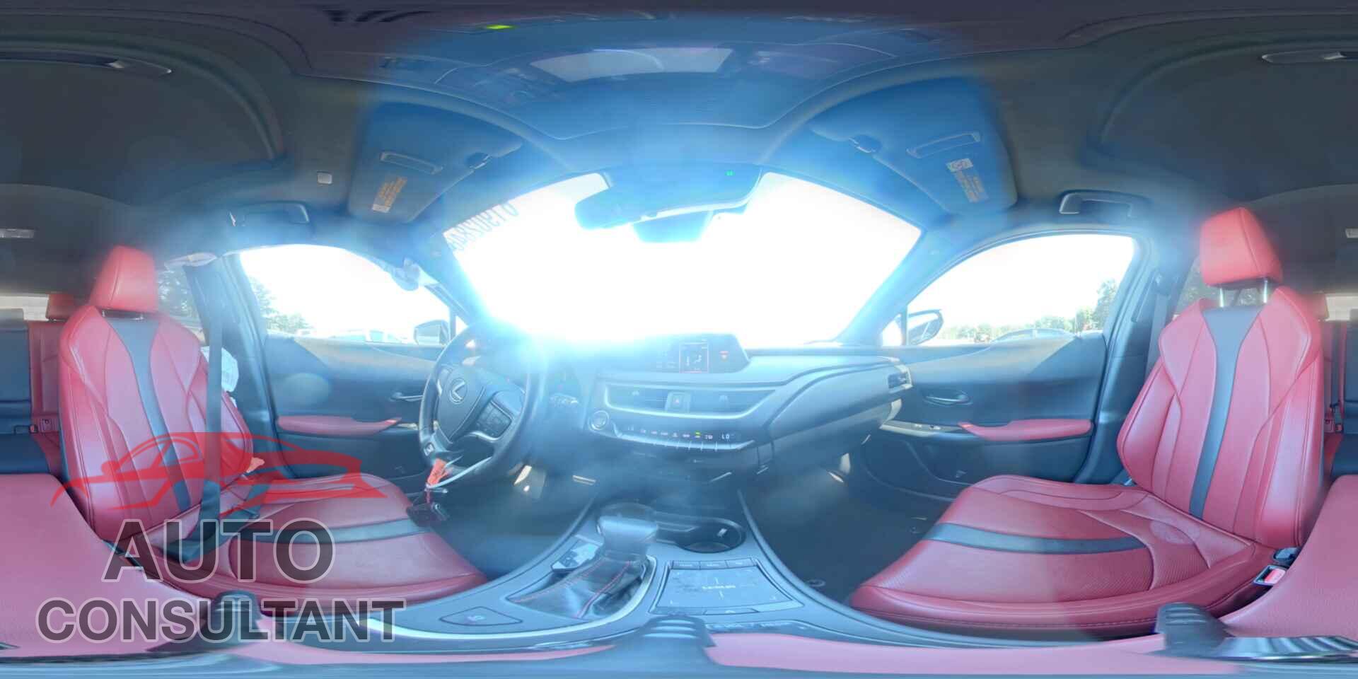 LEXUS ALL OTHER 2019 - JTHY3JBH7K2010131