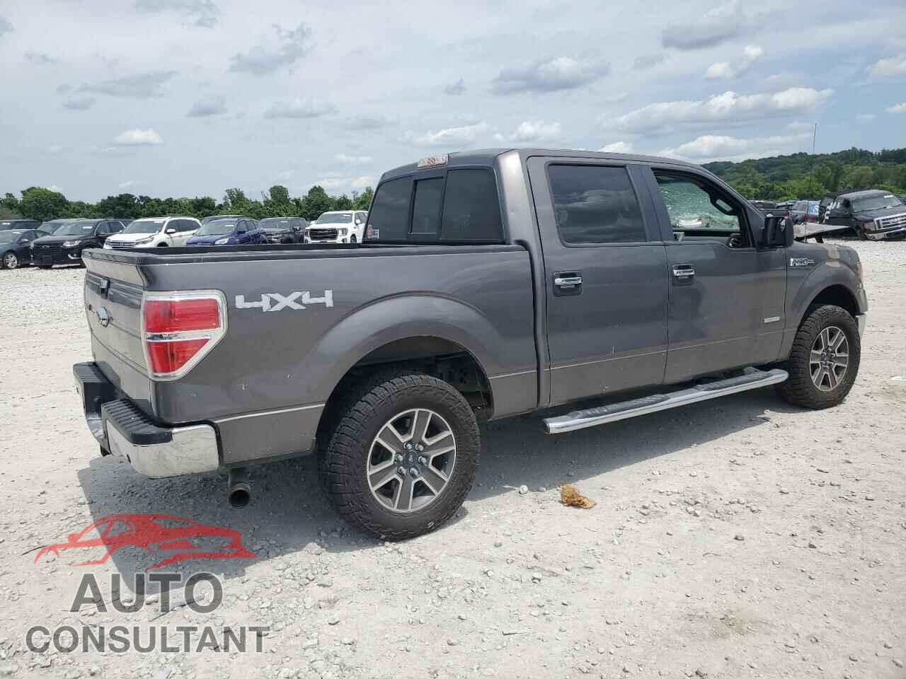 FORD F-150 2013 - 1FTFW1ET3DKD42473