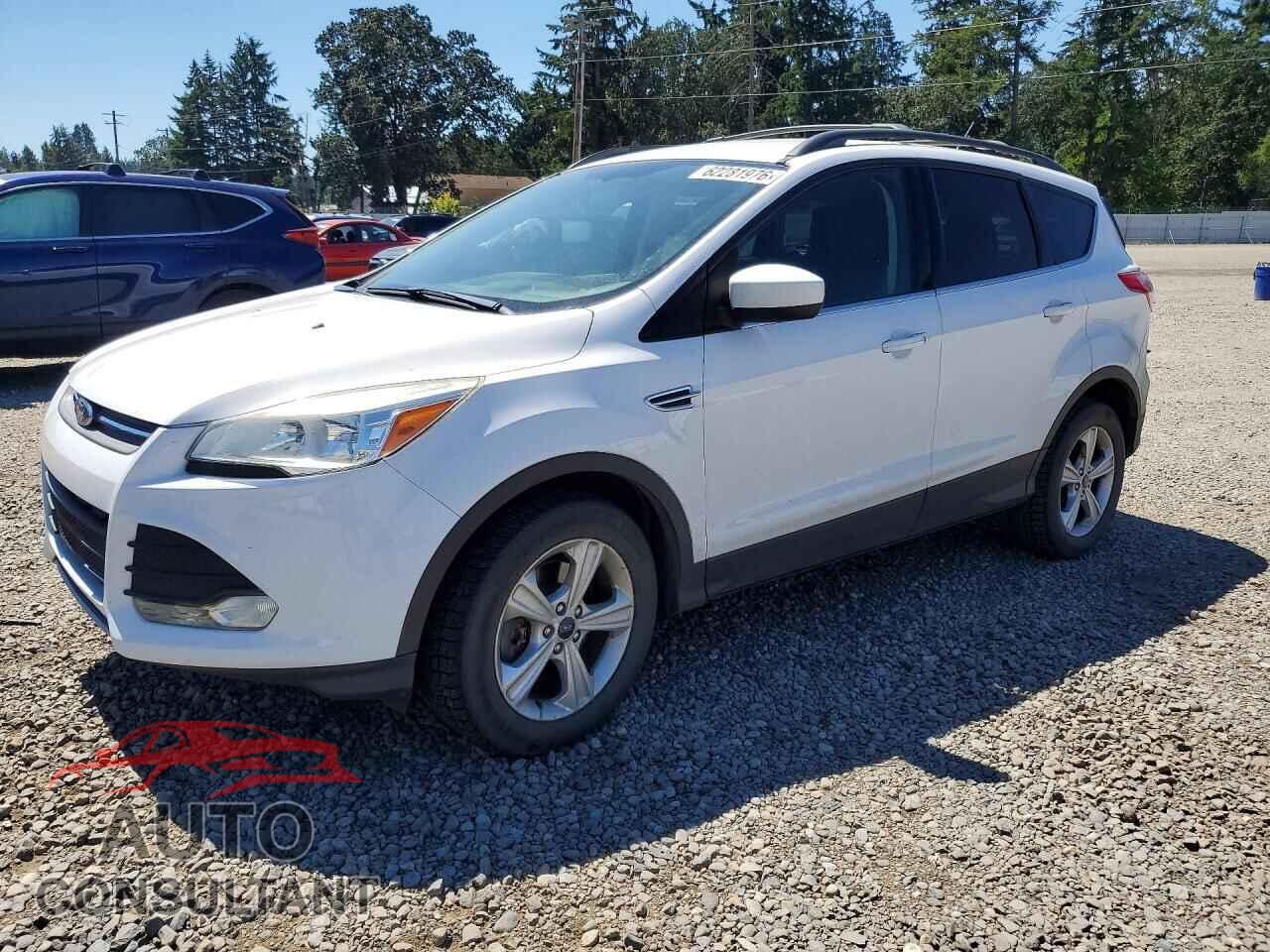 FORD ESCAPE 2014 - 1FMCU9G94EUC54302