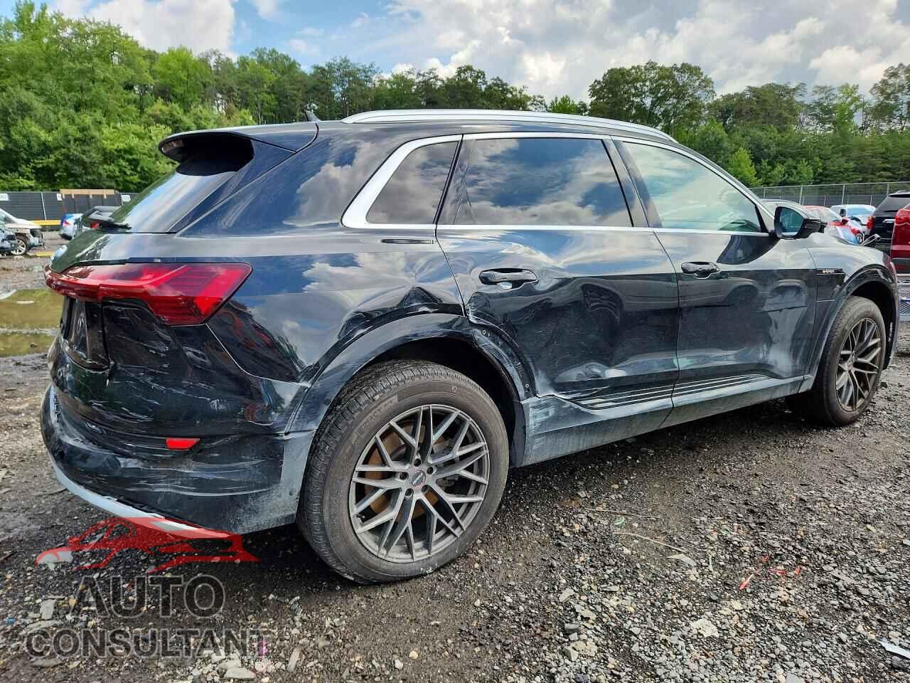 AUDI E-TRON 2019 - WA1VABGE4KB016171