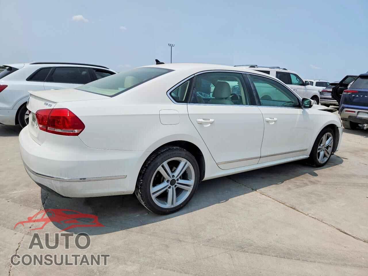 VOLKSWAGEN PASSAT 2014 - 1VWBN7A36EC018789
