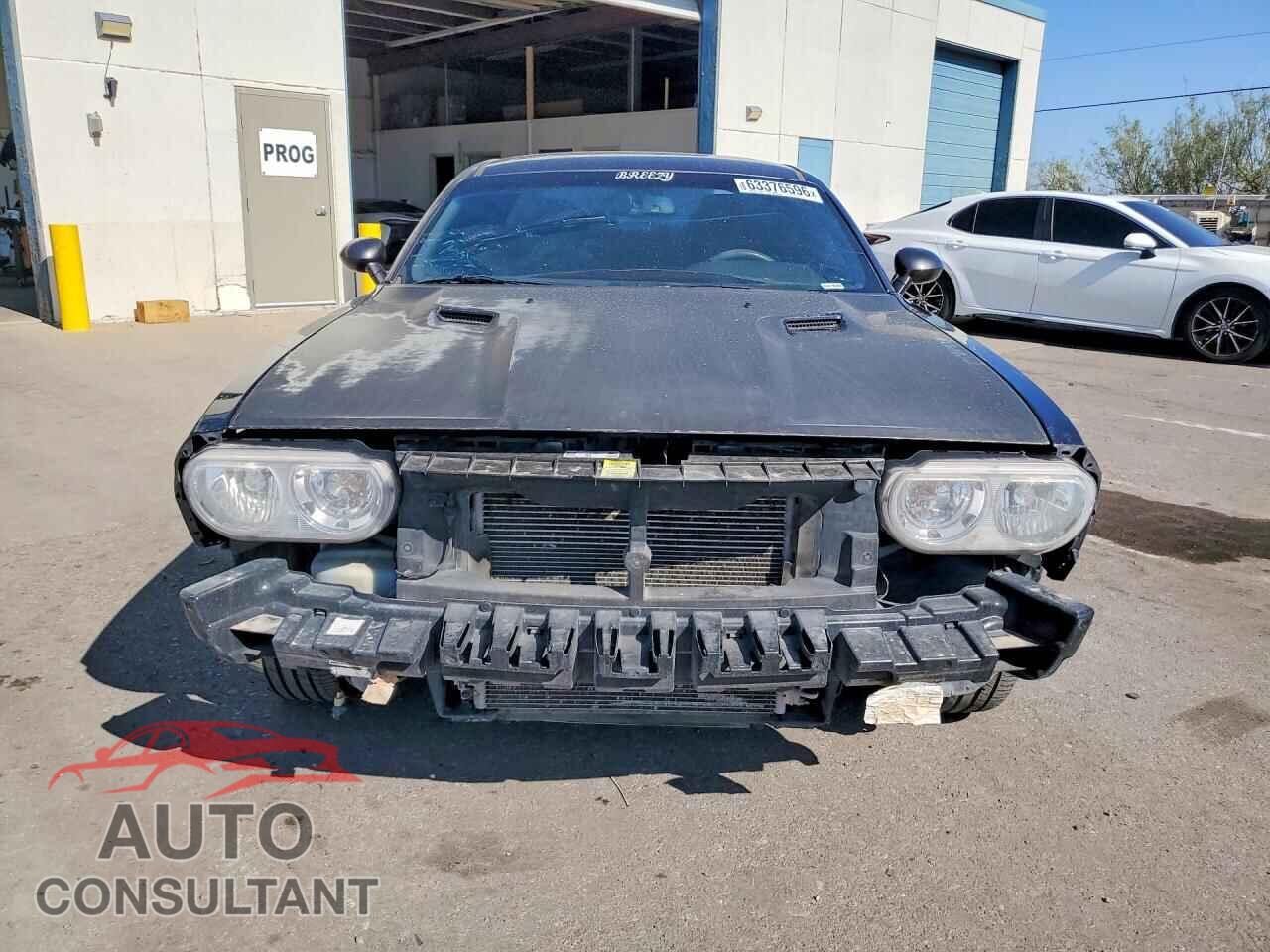 DODGE CHALLENGER 2013 - 2C3CDYAG4DH679398