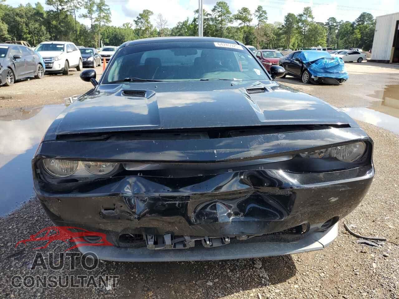 DODGE CHALLENGER 2013 - 2C3CDYAG2DH676113