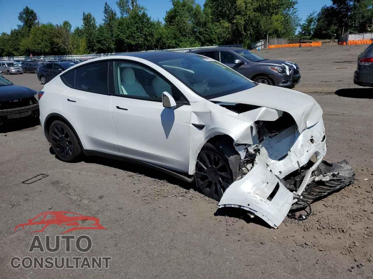 TESLA MODEL Y 2021 - 5YJYGDEE6MF240980