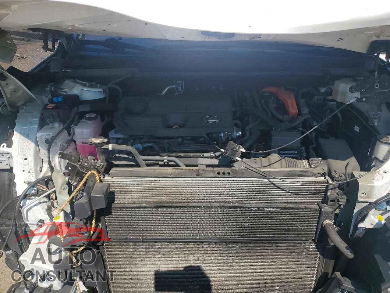 LEXUS UNKNOWN 2023 - 2T2BBMCAXPC021822