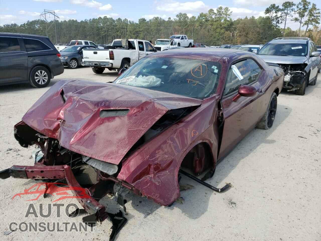 DODGE CHALLENGER 2019 - 2C3CDZAG6KH716972