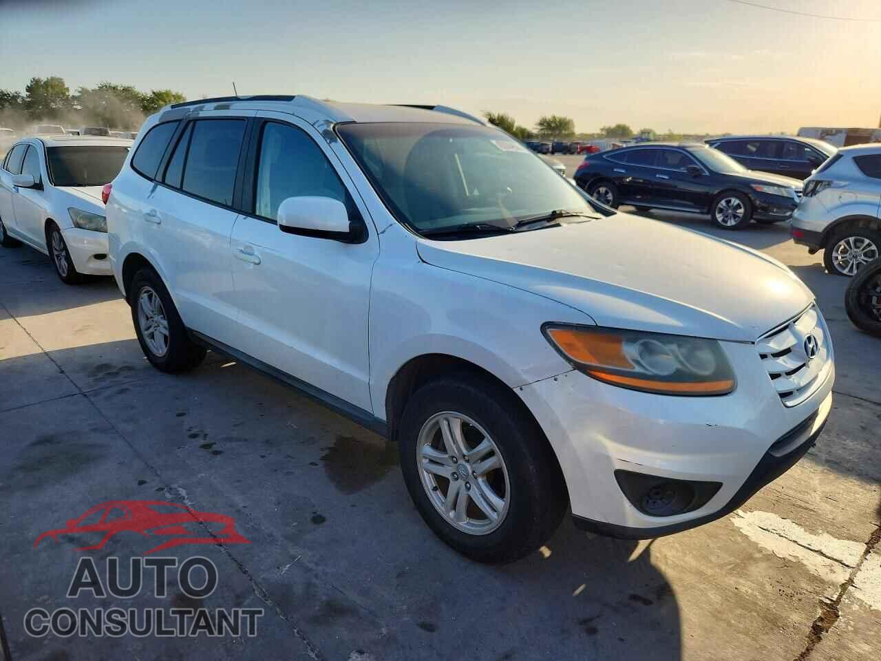 HYUNDAI SANTA FE 2010 - 5NMSG3AB4AH336516
