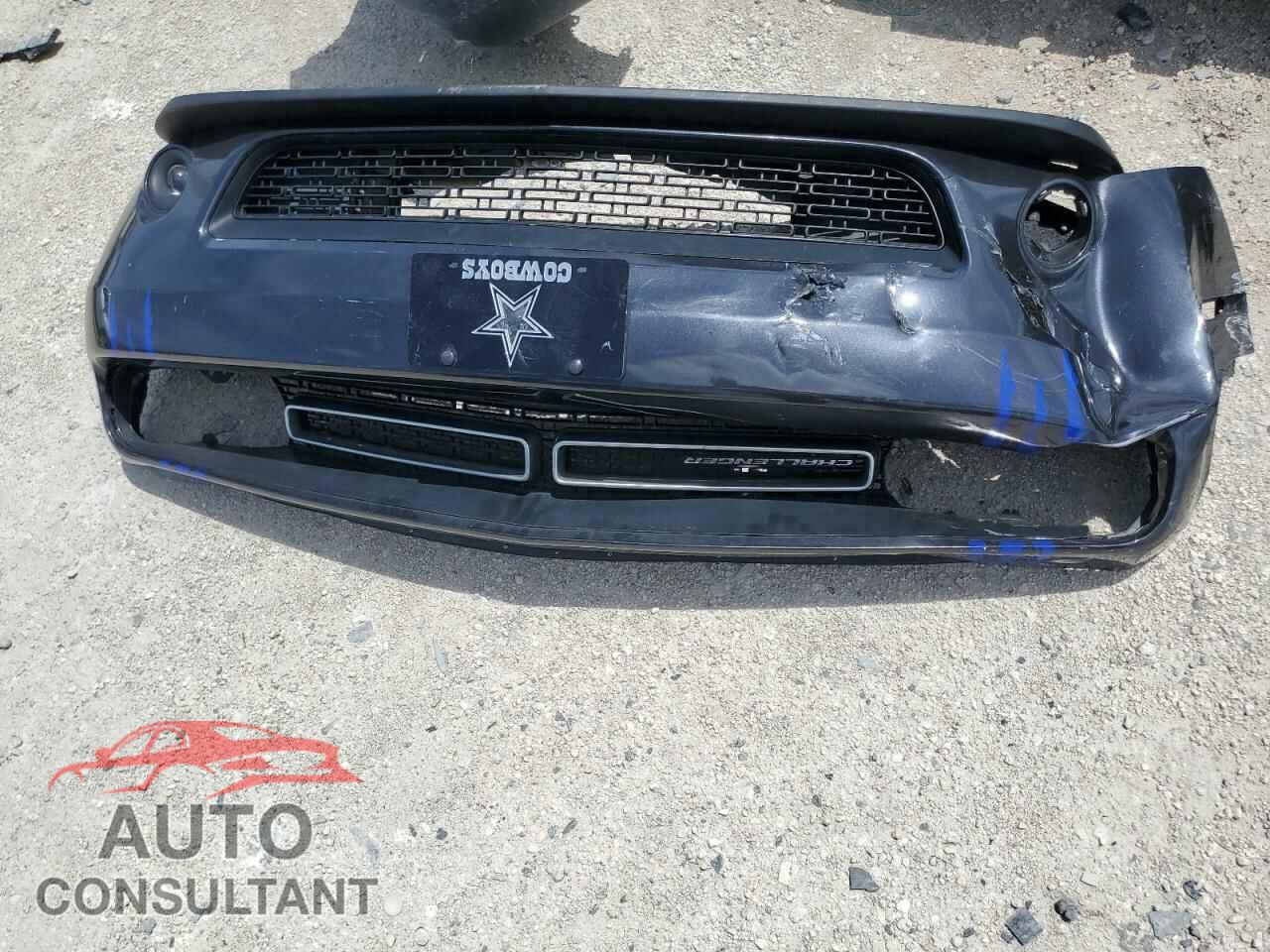 DODGE CHALLENGER 2019 - 2C3CDZAG2KH620417