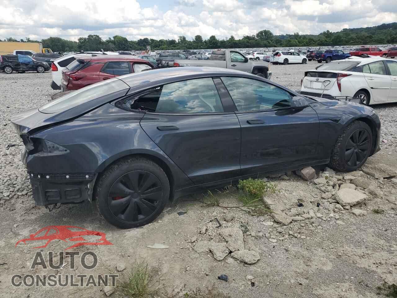 TESLA MODEL S 2024 - 5YJSA1E65RF546154