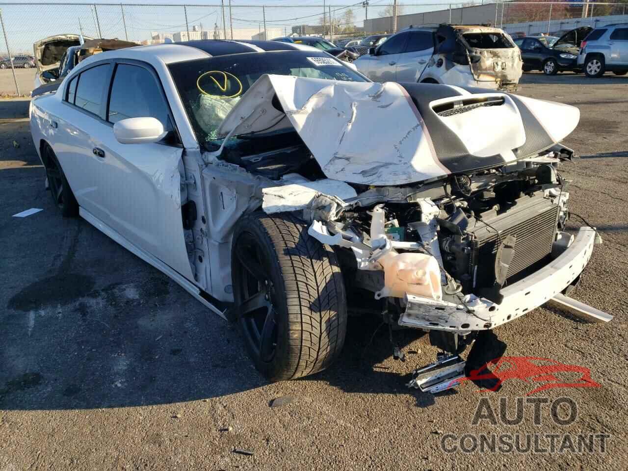 DODGE CHARGER 2019 - 2C3CDXGJ5KH697189