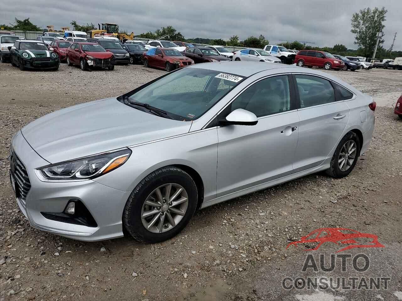 HYUNDAI SONATA 2019 - 5NPE24AF9KH802238