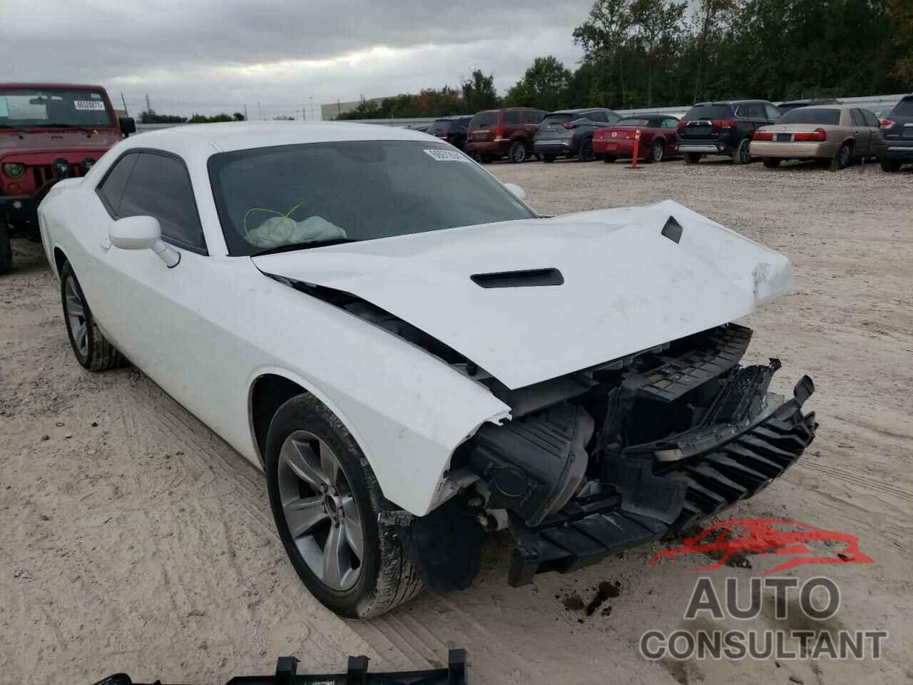 DODGE CHALLENGER 2019 - 2C3CDZAG5KH616524