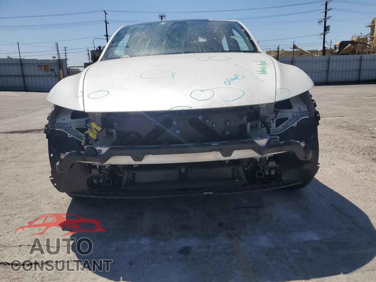 TESLA MODEL Y 2026 - 7SAYGDEEXTF377485