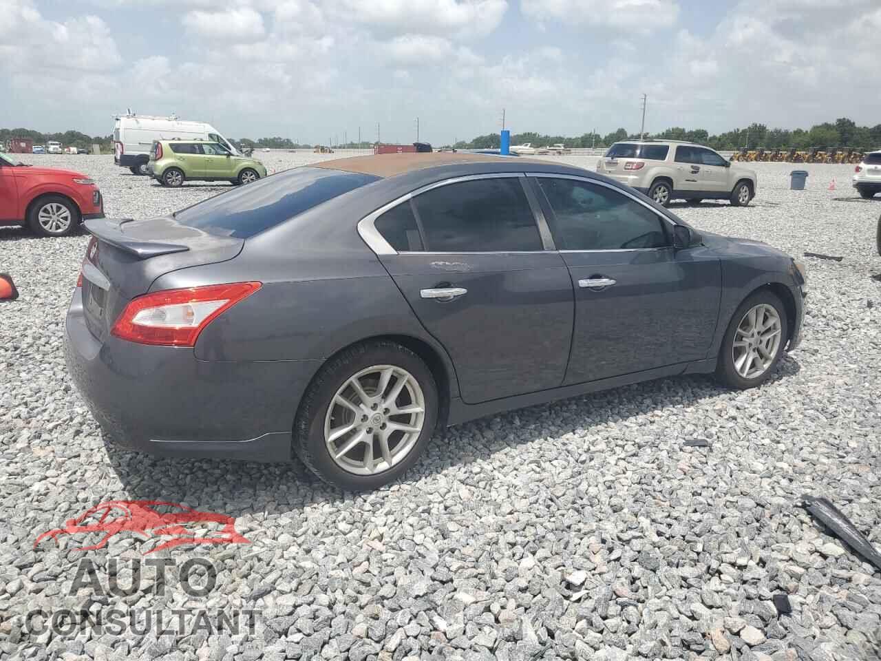 NISSAN MAXIMA 2010 - 1N4AA5AP3AC800789