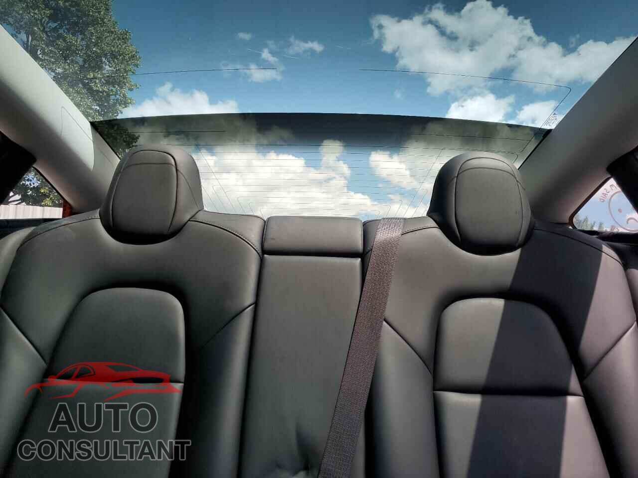 TESLA MODEL 3 2020 - 5YJ3E1EB7LF665501