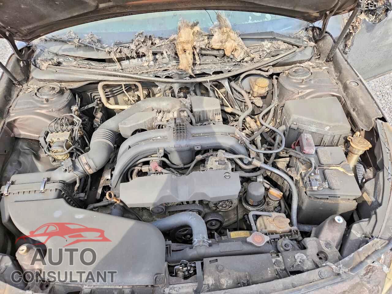 SUBARU OUTBACK 2019 - 4S4BSATC7K3237127