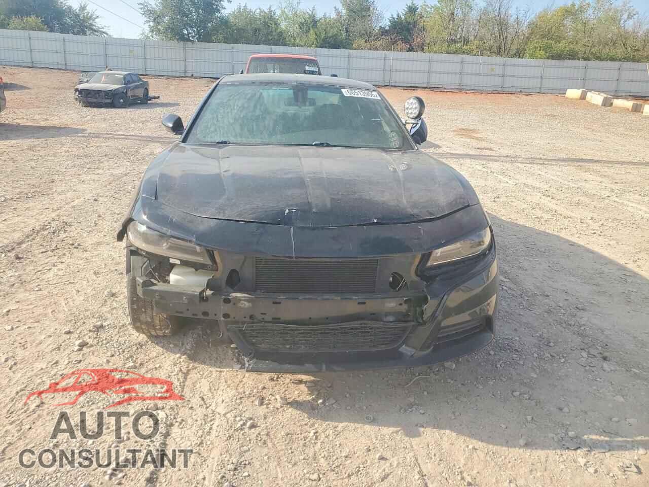 DODGE CHARGER 2019 - 2C3CDXAT1KH592482