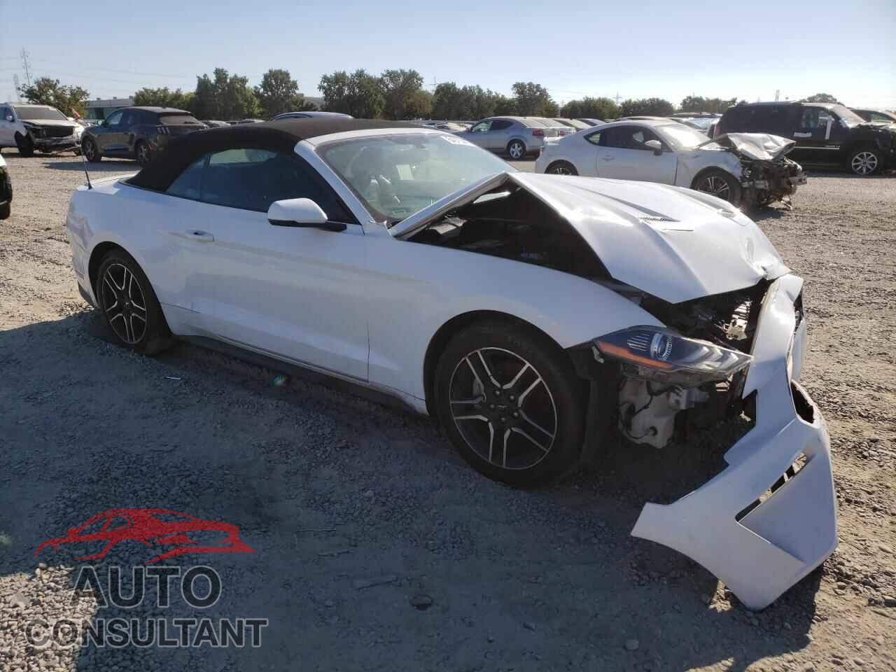 FORD ALL Models 2019 - 1FATP8UH5K5126261