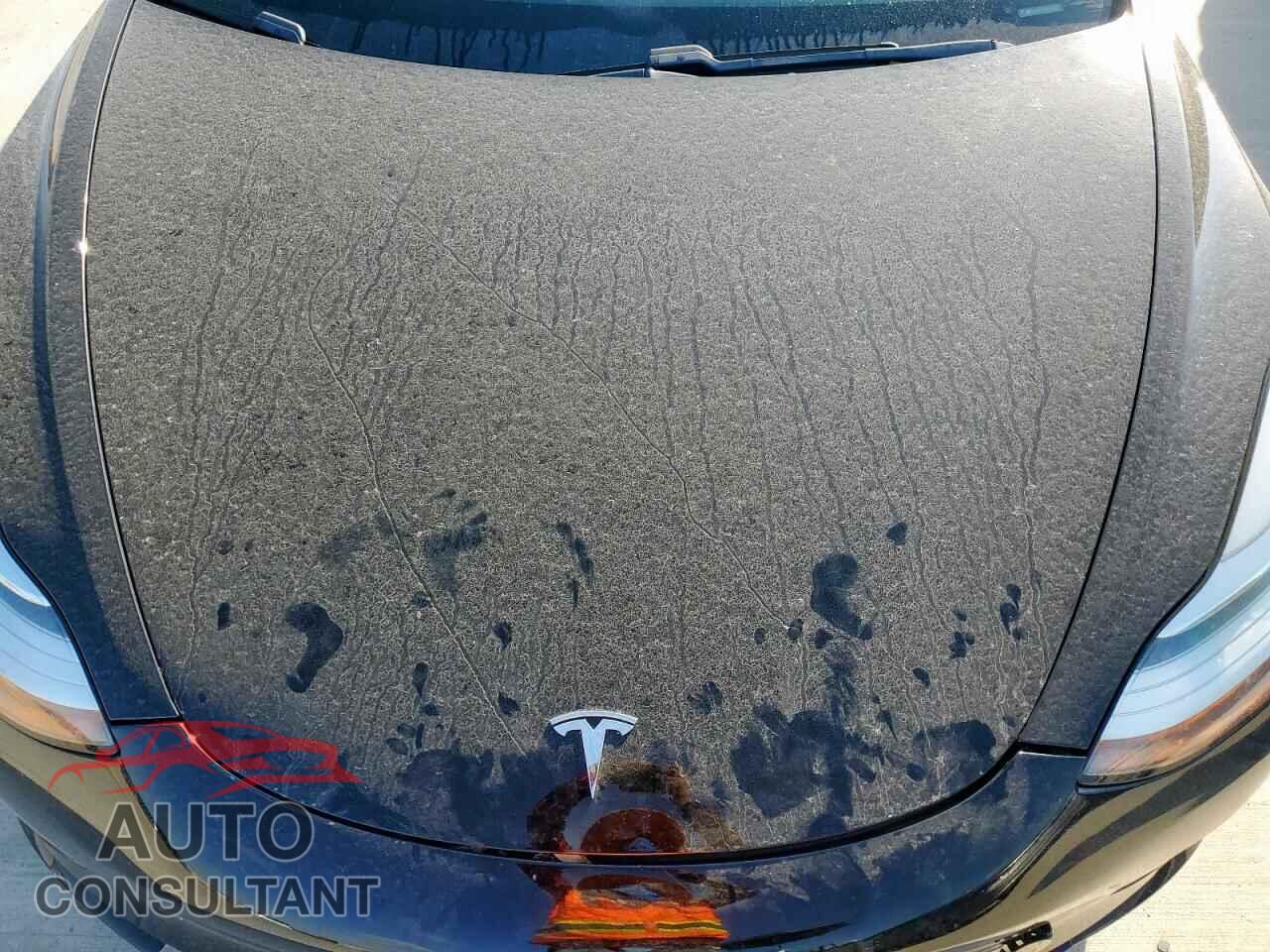 TESLA MODEL 3 2018 - 5YJ3E1EA9JF033667