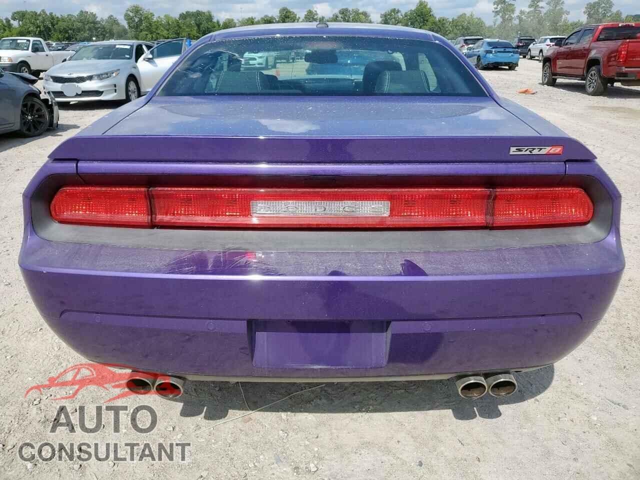 DODGE CHALLENGER 2013 - 2C3CDYCJ0DH672280