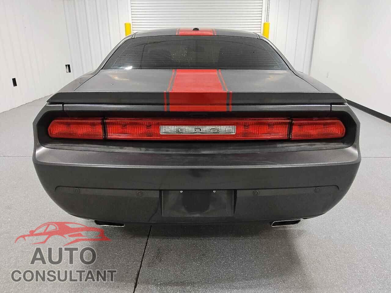 DODGE CHALLENGER 2013 - 2C3CDYAG3DH676069