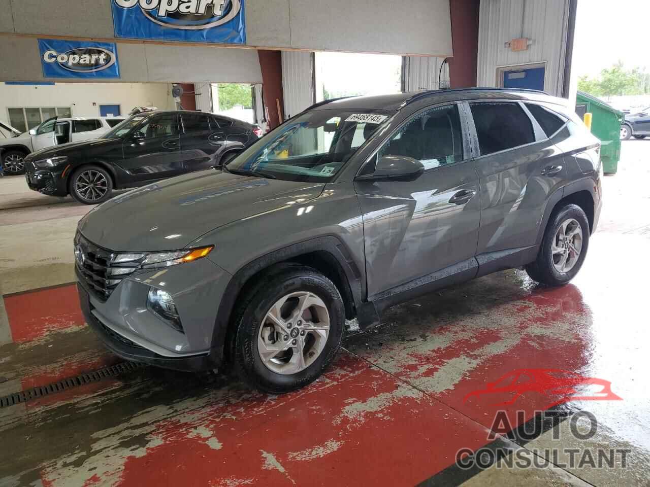 HYUNDAI TUCSON 2024 - 5NMJBCDE5RH411557