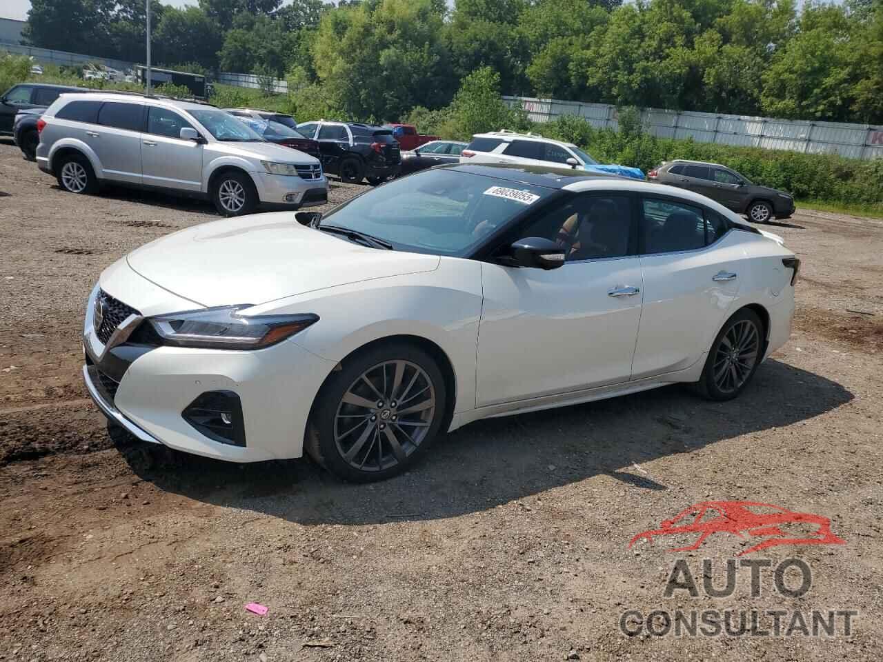 NISSAN MAXIMA 2019 - 1N4AA6AV4KC365609