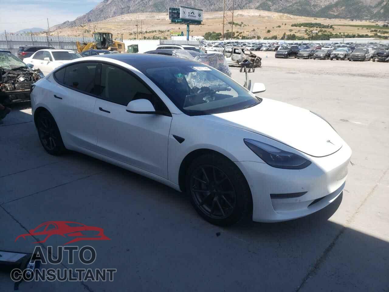 TESLA MODEL 3 2021 - 5YJ3E1EA1MF054176