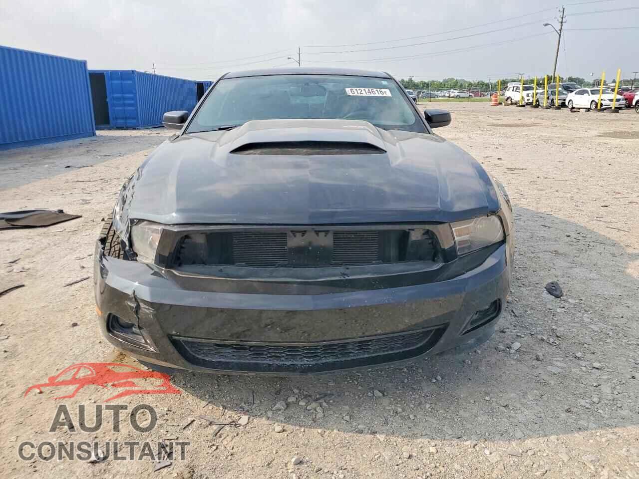 FORD MUSTANG 2012 - 1ZVBP8AM0C5240187