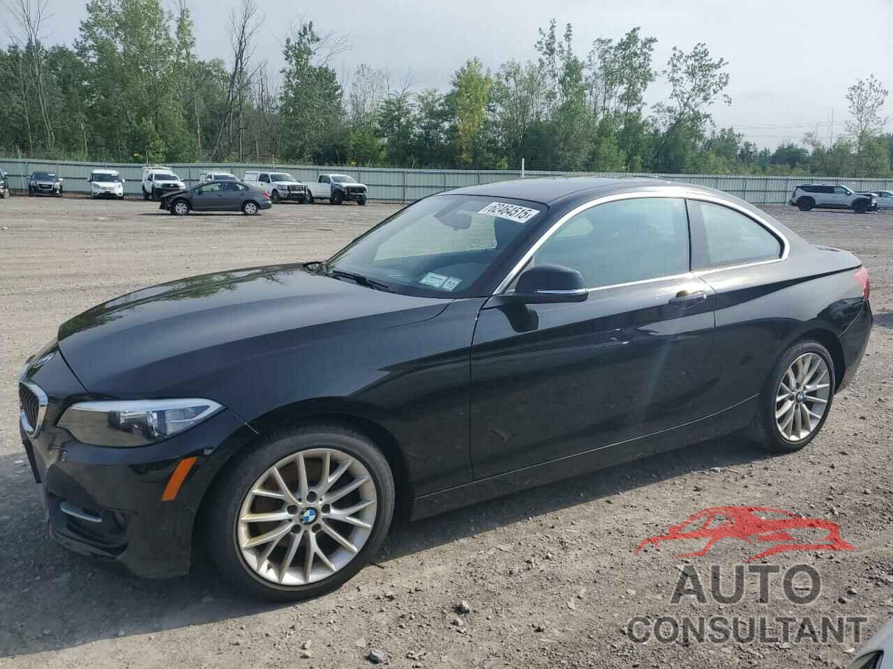 BMW 2 SERIES 2016 - WBA1G9C52GV598419