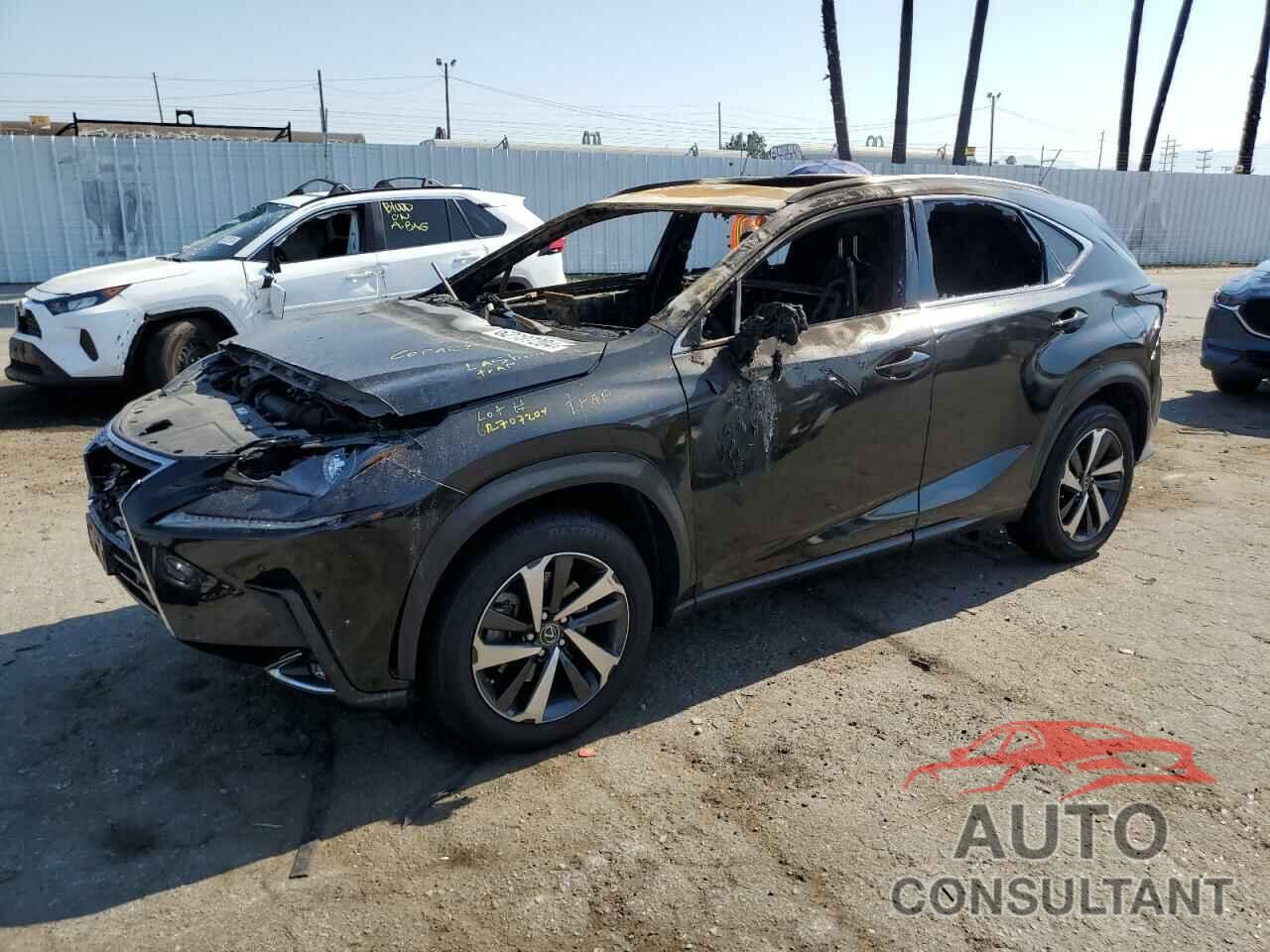 LEXUS NX 2020 - JTJGARBZ1L2174161