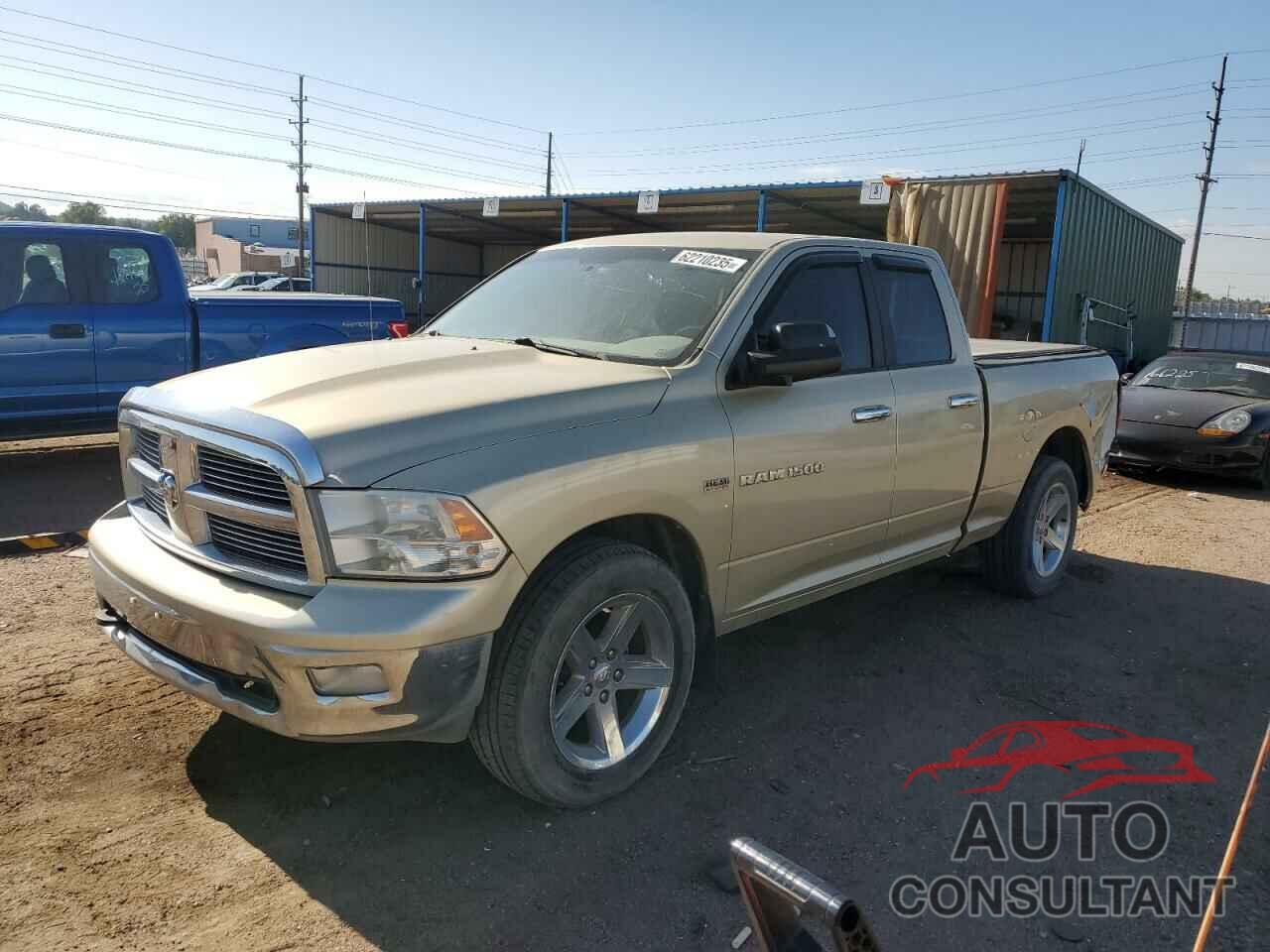 DODGE All Models 2011 - 1D7RV1GT1BS704929