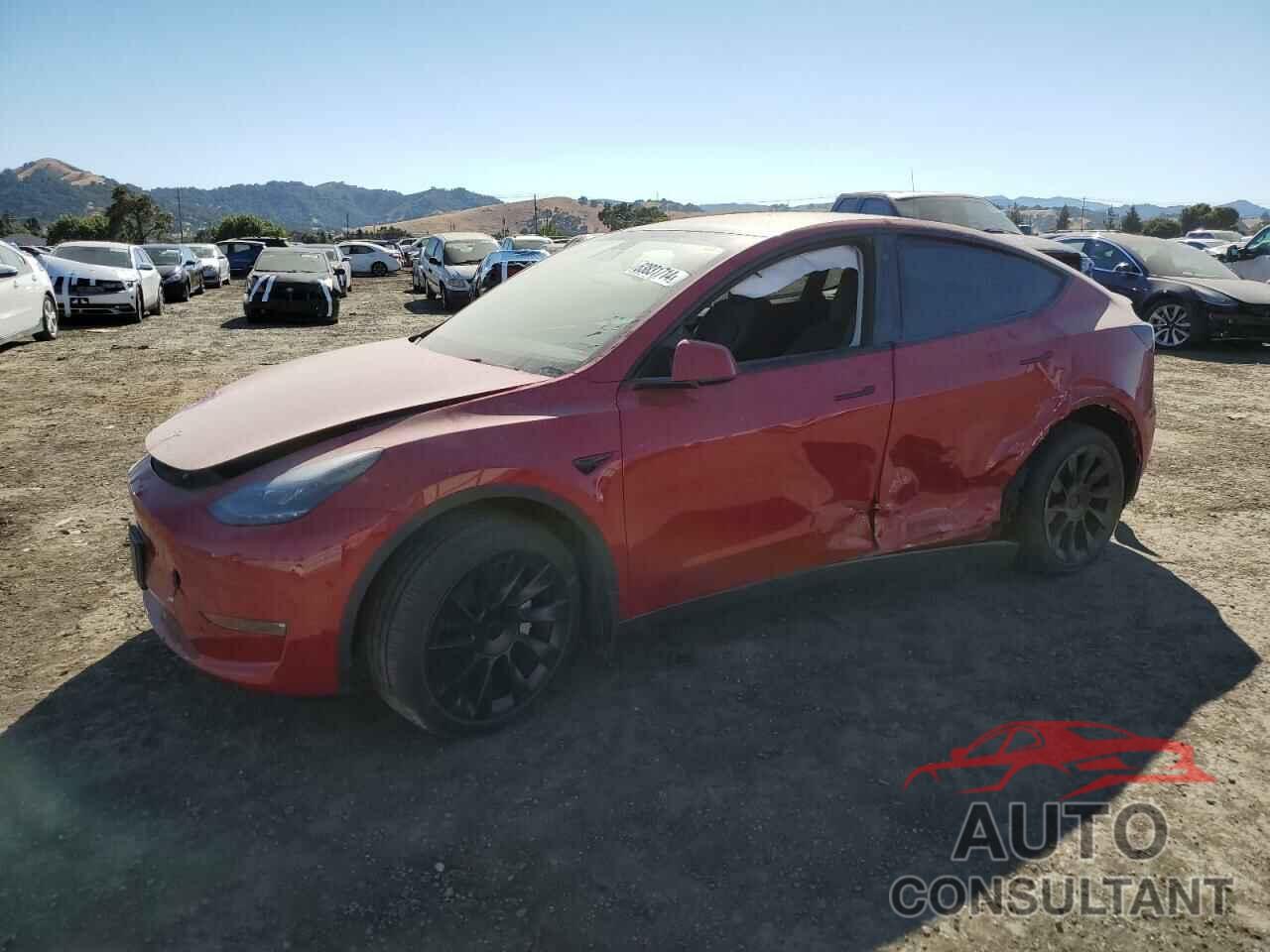 TESLA MODEL Y 2022 - 7SAYGDEE5NF555337