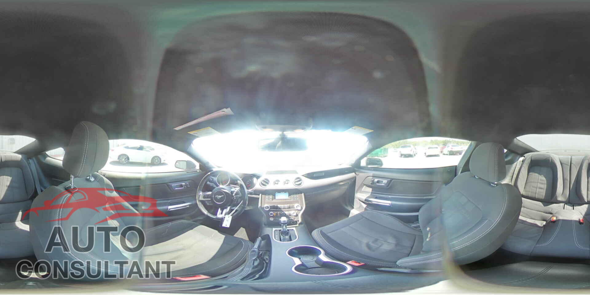 FORD MUSTANG 2019 - 1FA6P8CF6K5124497