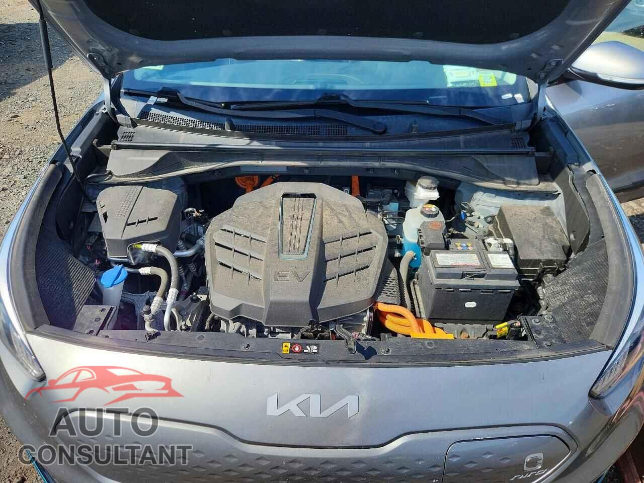 KIA UNKNOWN 2022 - KNDCC3LG7N5161003