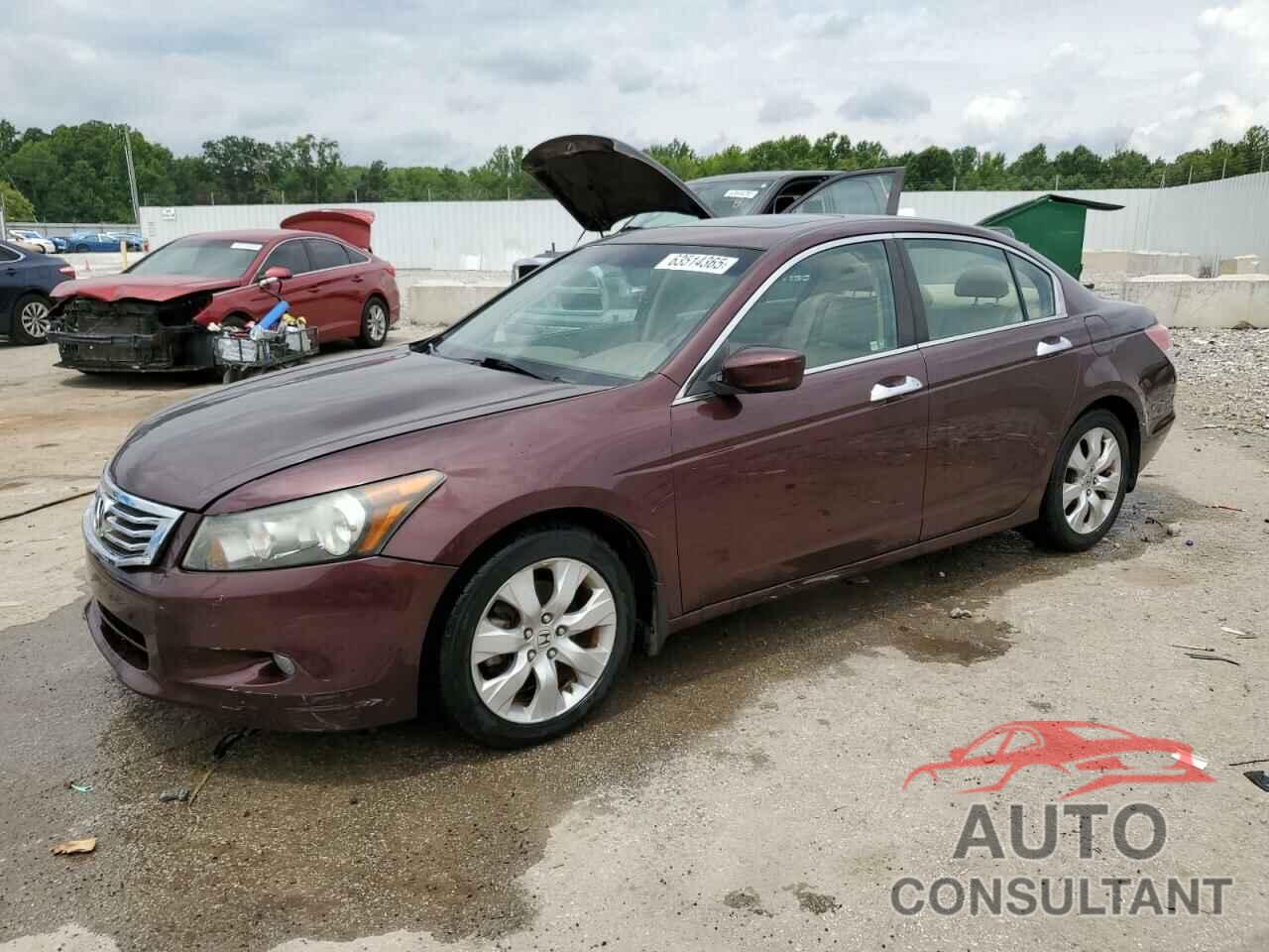 HONDA ACCORD 2010 - 5KBCP3F8XAB013382