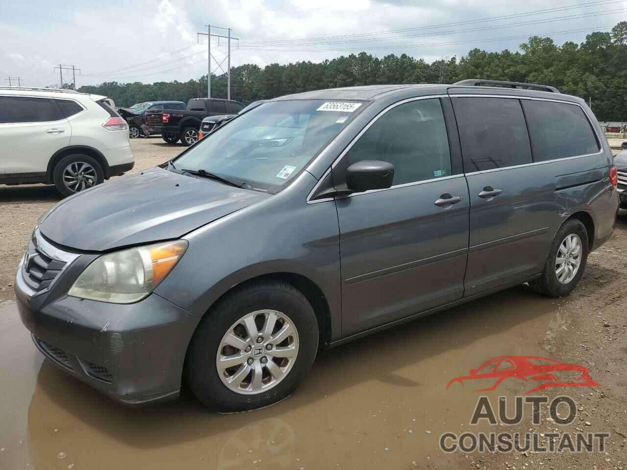 HONDA All Models 2010 - 5FNRL3H69AB061388