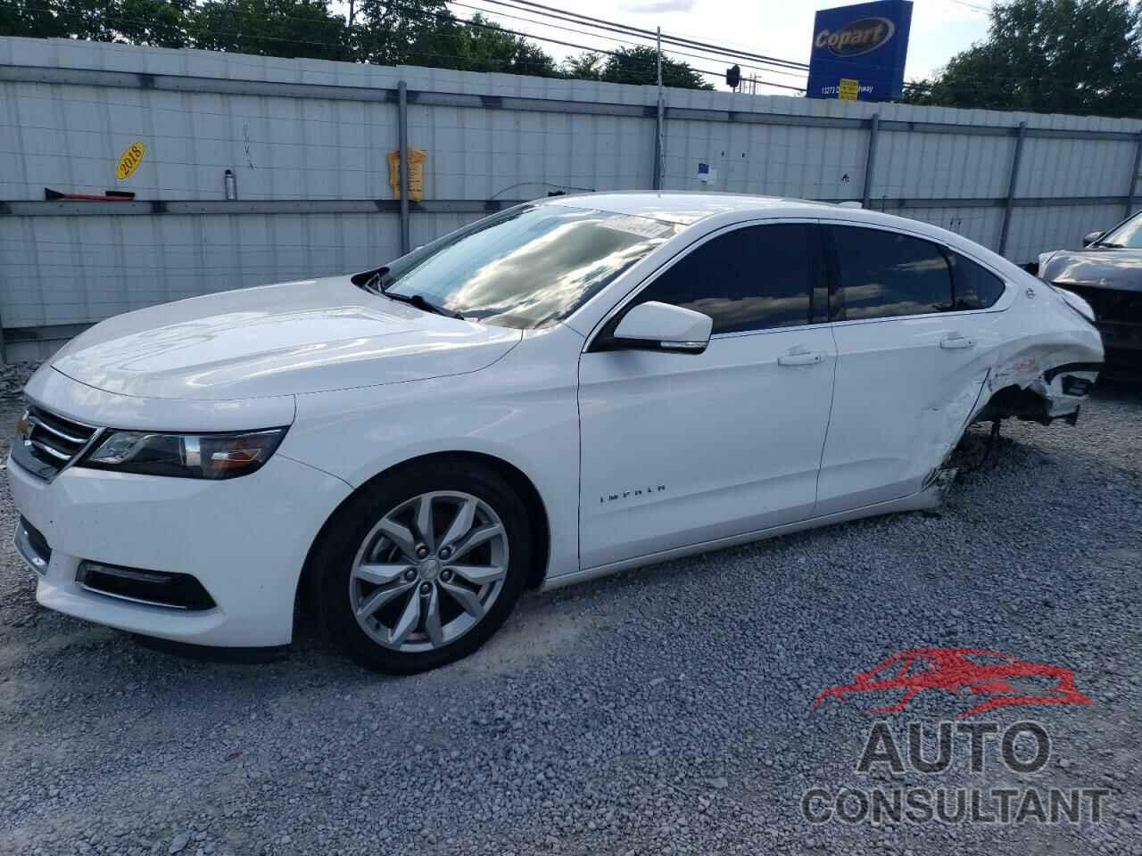 CHEVROLET IMPALA 2019 - 2G11Z5S38K9161227