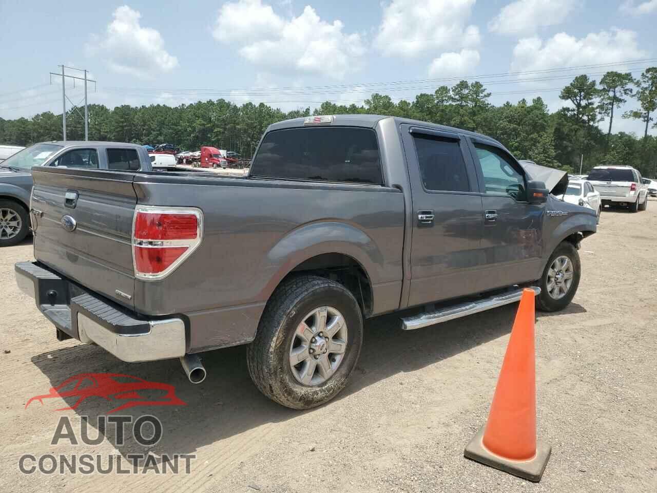 FORD F-150 2013 - 1FTFW1CF8DFC76704