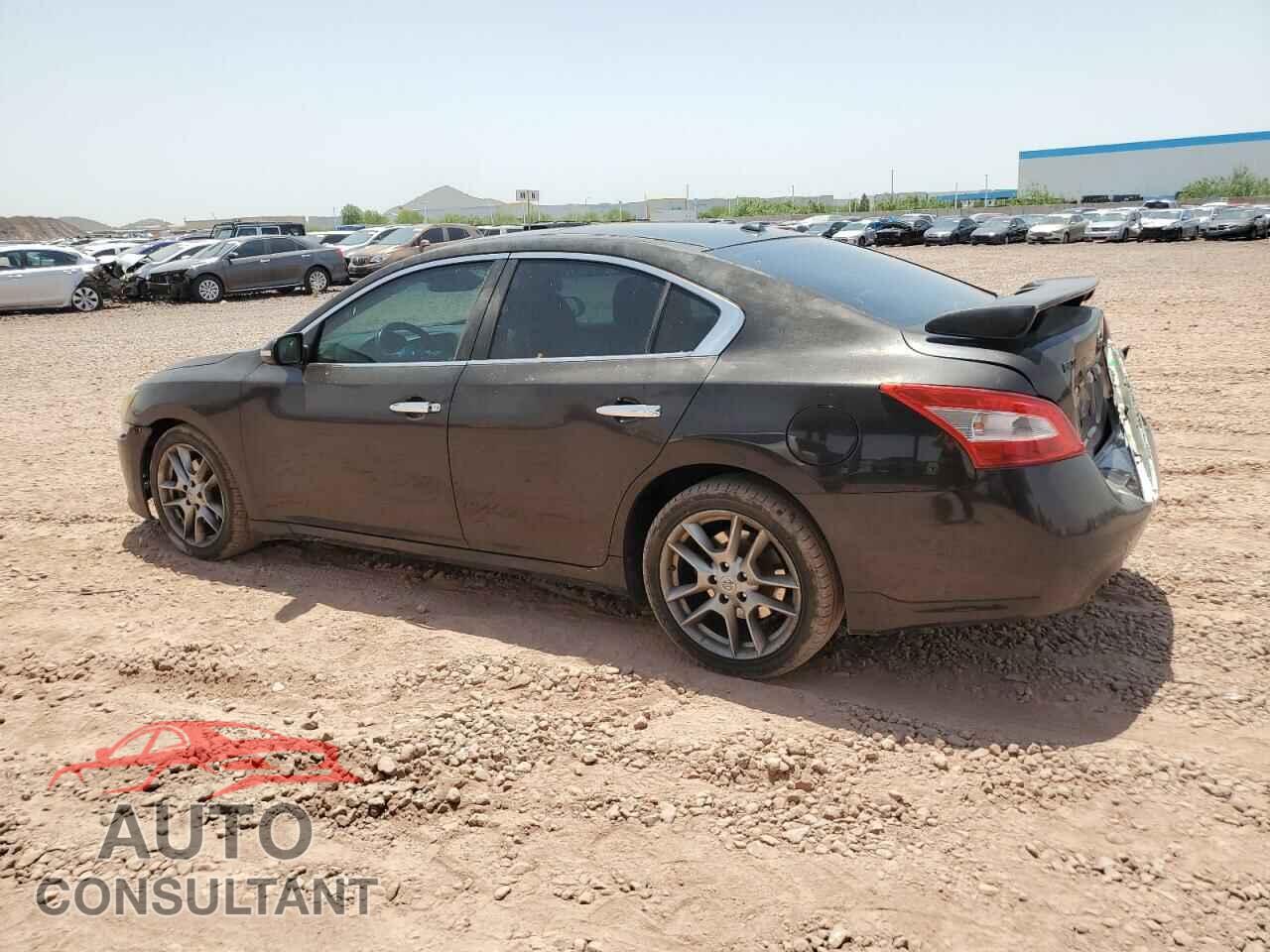 NISSAN MAXIMA 2011 - 1N4AA5AP4BC805095