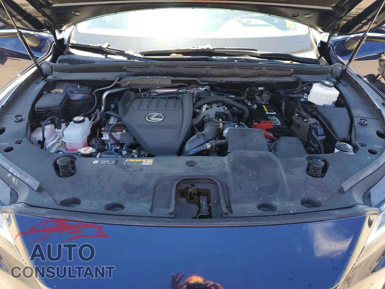 LEXUS RX350 2023 - 2T2BAMBA3PC018068