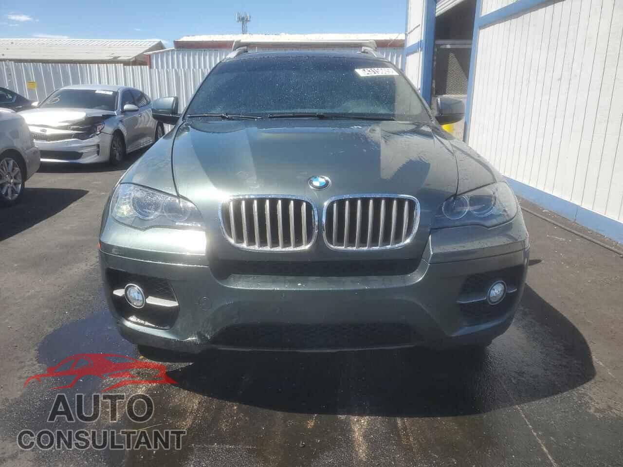 BMW X6 2011 - 5UXFH0C51BLC66477