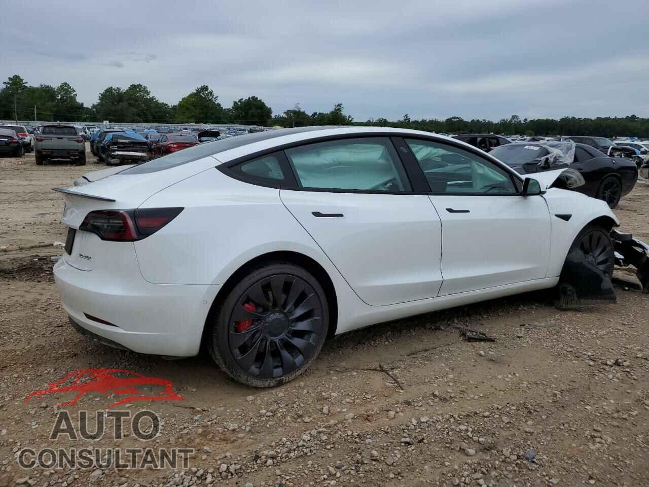 TESLA MODEL 3 2021 - 5YJ3E1EC7MF037030