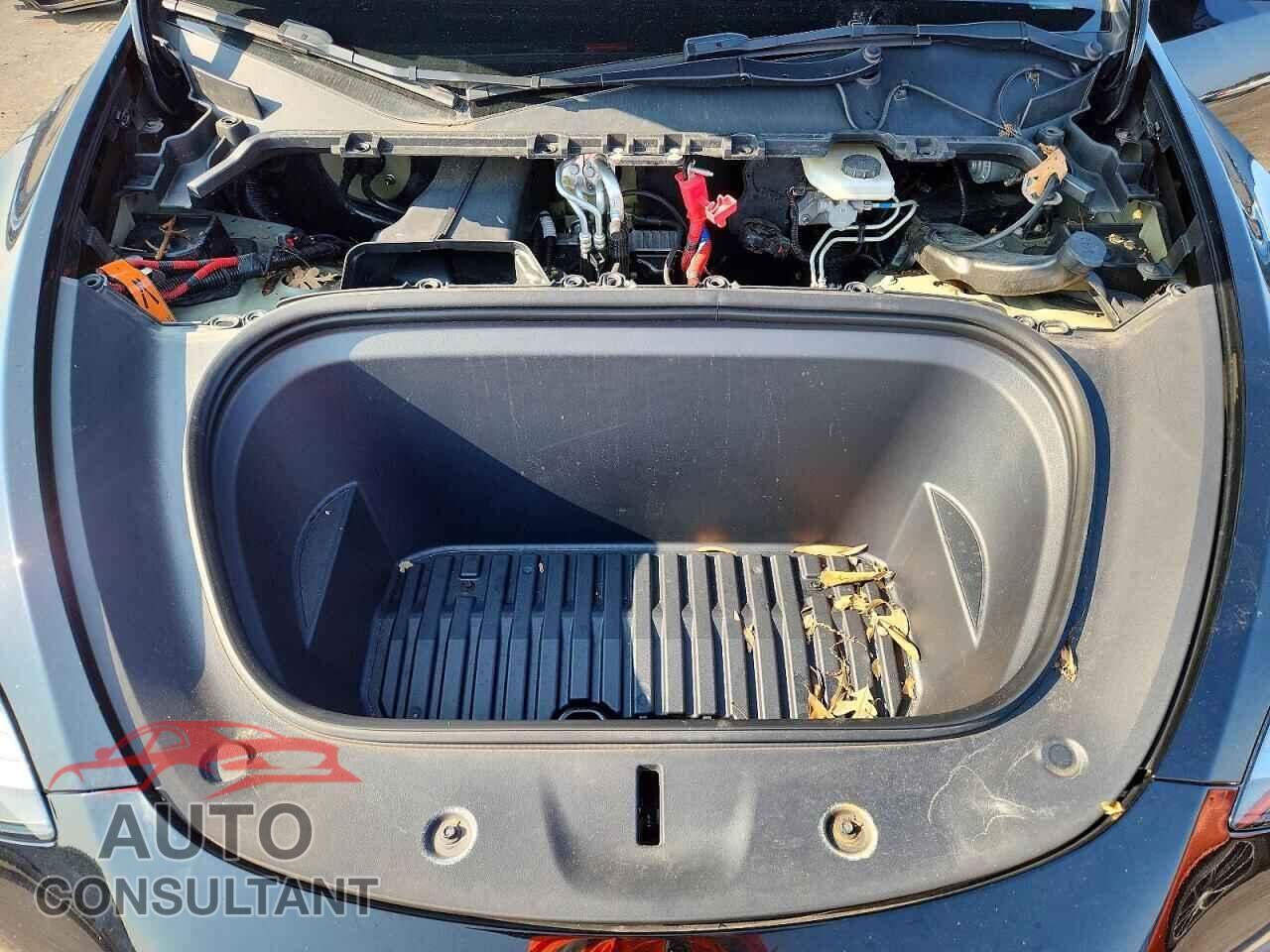TESLA MODEL Y 2023 - 7SAYGAEE5PF696829
