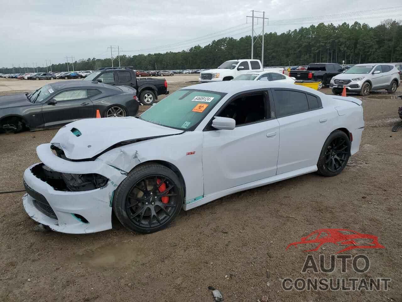 DODGE CHARGER 2018 - 2C3CDXGJ3JH290096