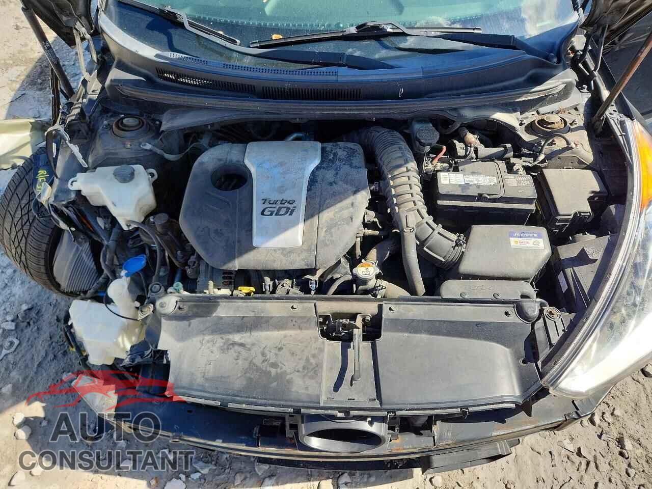HYUNDAI VELOSTER 2016 - KMHTC6AE1GU275229