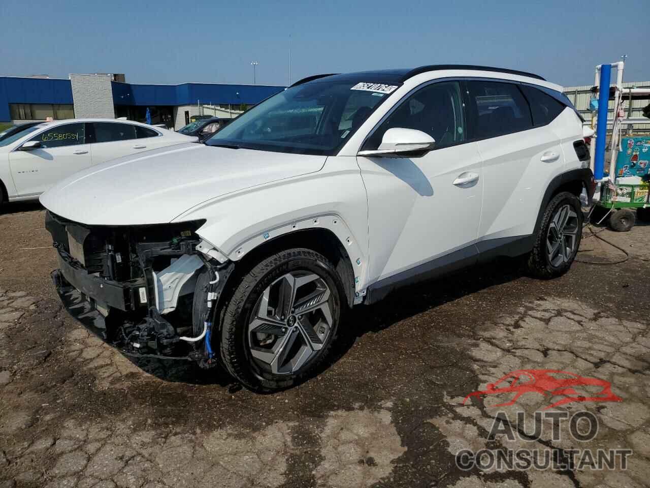 HYUNDAI TUCSON 2023 - 5NMJECAE0PH234974