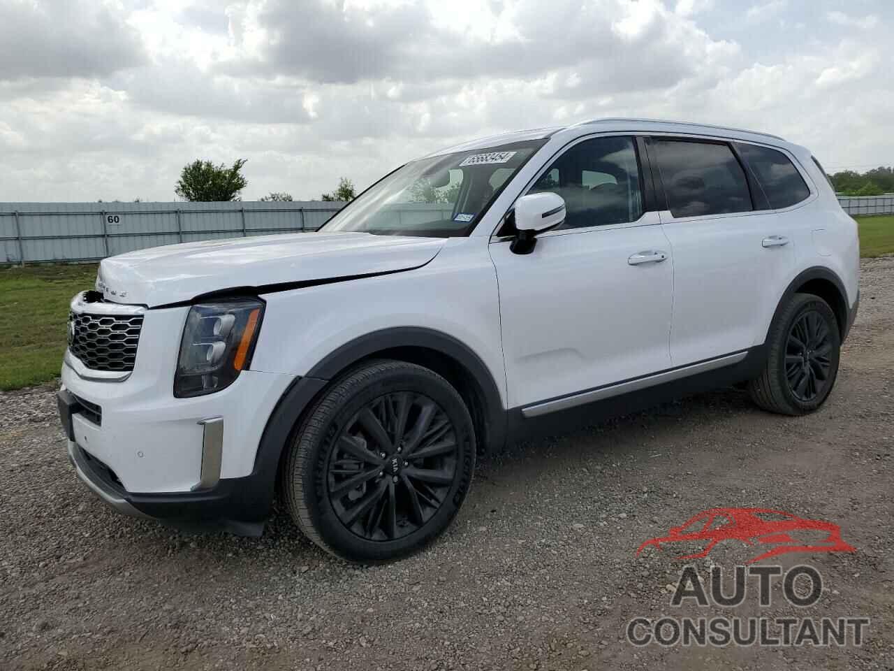 KIA TELLURIDE 2021 - 5XYP5DHC6MG164410