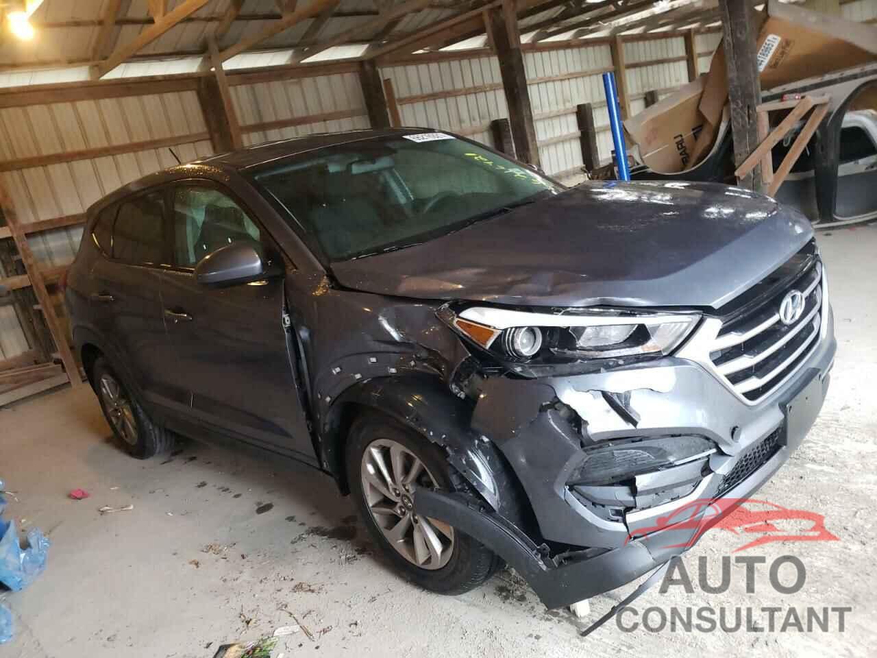 HYUNDAI TUCSON 2017 - KM8J23A45HU390191