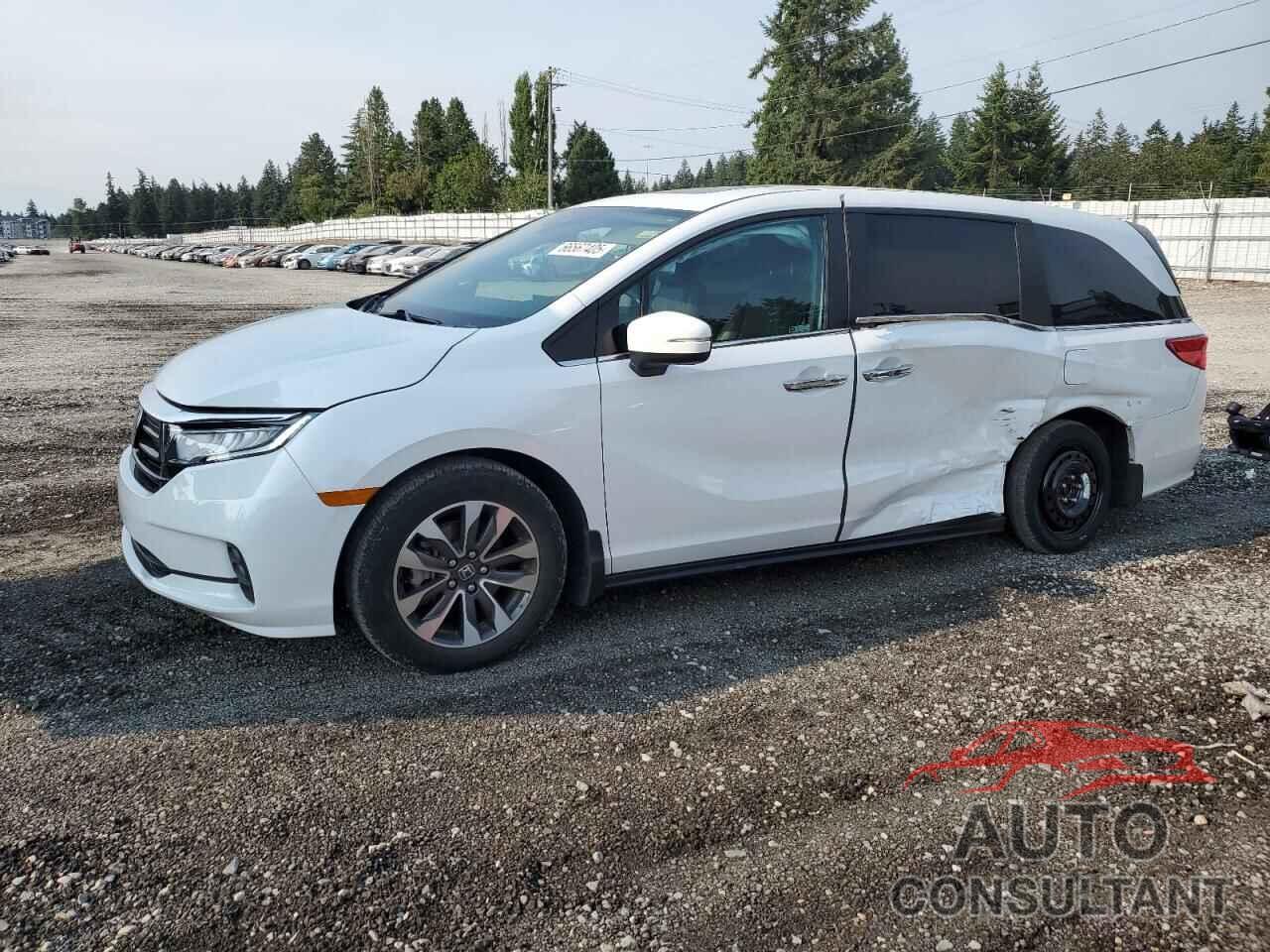 HONDA All Models 2023 - 5FNRL6H67PB039903